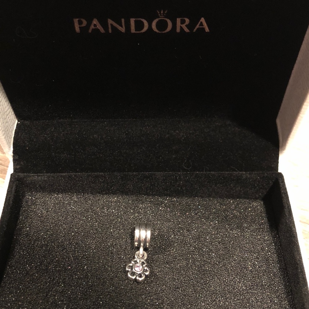 Authentic Pandora Flower w/ Pink CZ Charm!